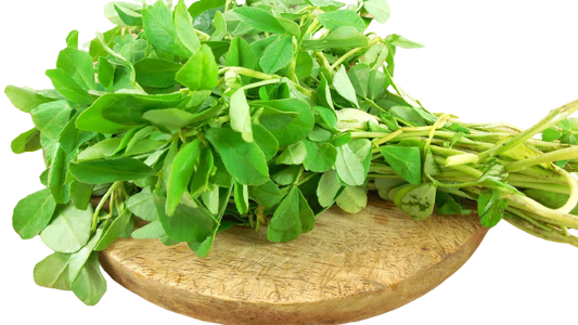 Fenugreek_leaves-removebg-preview