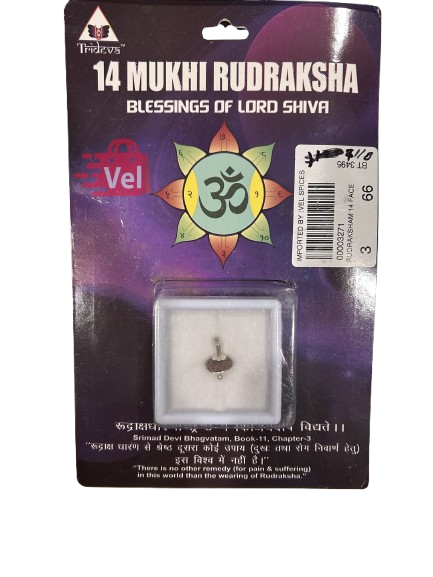 14 Mukhi Rudraksha