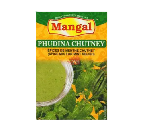 Mangal Phudina Chutney Masala 45G