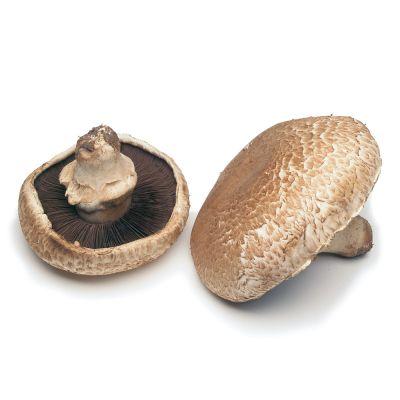 Mushroom Field (375g) Punnet Fresh