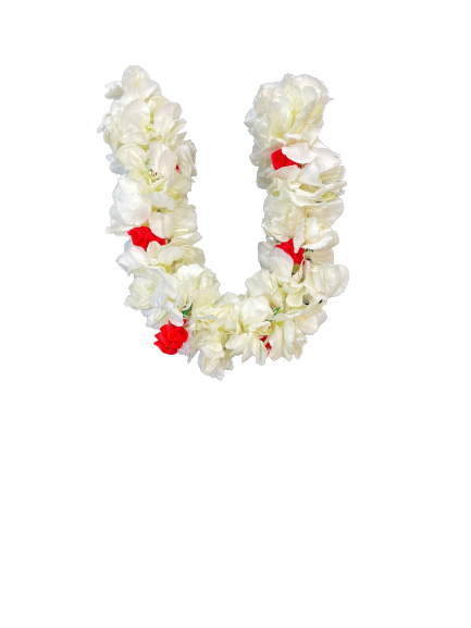 NEYU0319-removebg-preview