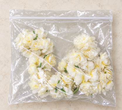 Jasmine String Australian (Approx. 40cm to 50cm)  (Pre-order 1 week)