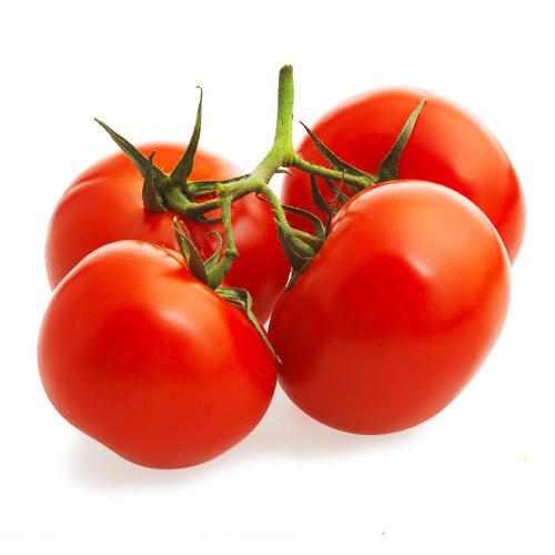 Tomato Truss Each Fresh