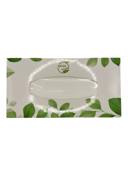 Green Earth Soft White Tissue Box 2Ply