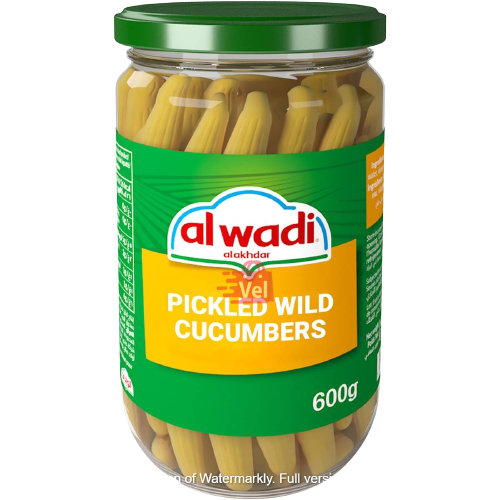 Al Wadi Pickled Wild Cucumber (Mokti) 600G