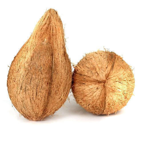 coconut fresh