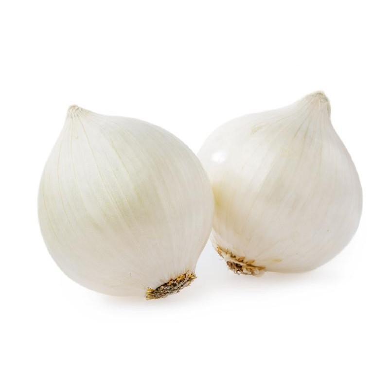 fresh-white-onion