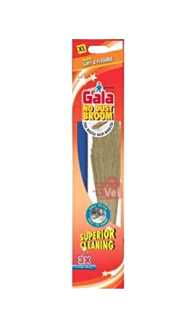Plastic Handle Gala Grass Broom