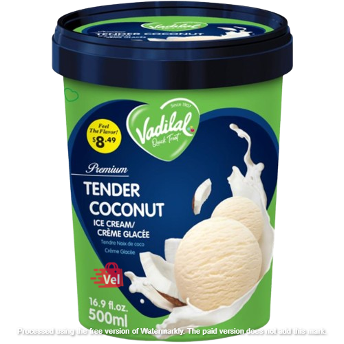 Vadilal Tender Coconut Ice Cre