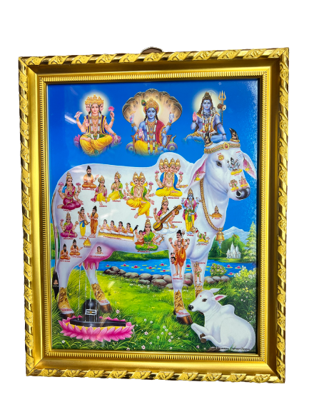 Gomatha/Kamdhenu Photo, Picture Frame 13"x11"