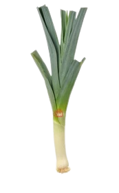 Leeks Piece