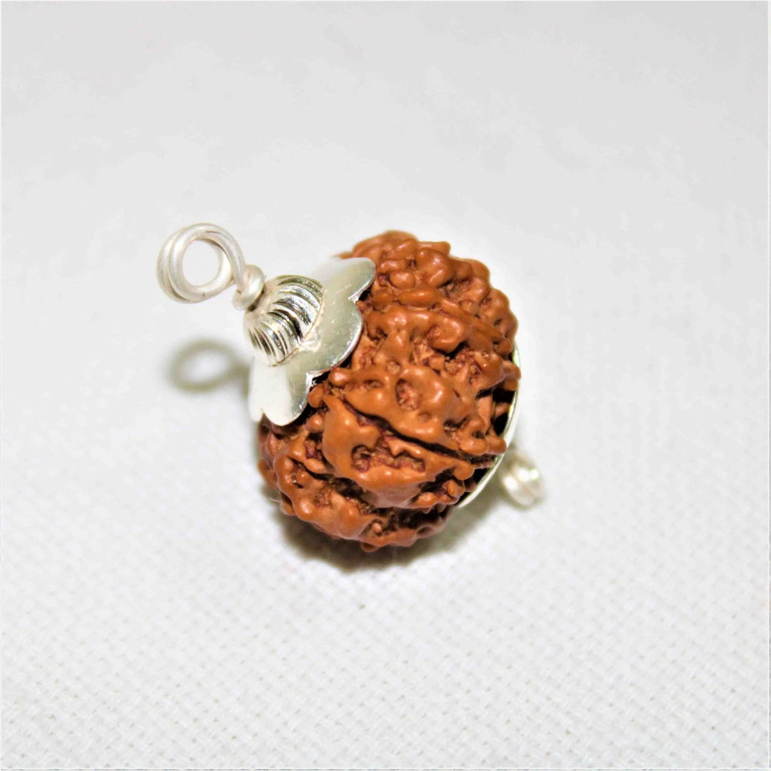 8 Mukhi Rudraksha