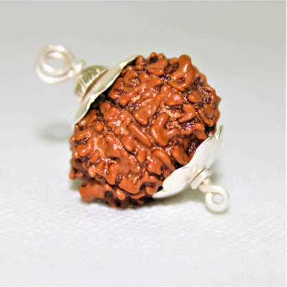 9 Mukhi Rudraksha