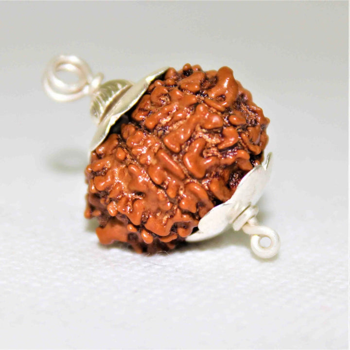 9 Mukhi Rudraksha