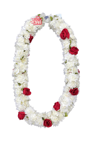 Dosa Fold Maalai White