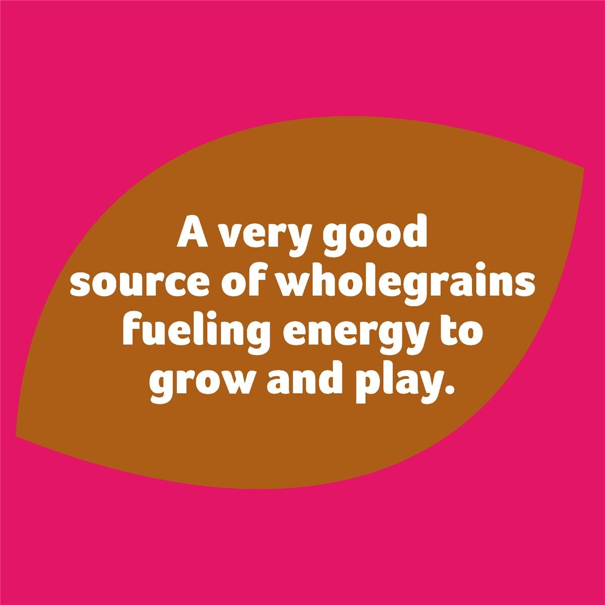 Wonder White Wholemeal With Iron Sandwich Slice 700g